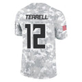 tocy A.Falcons #12 Avieon Terrell Player Arctic Camo Salute to Service Limited Stitched Jerseys