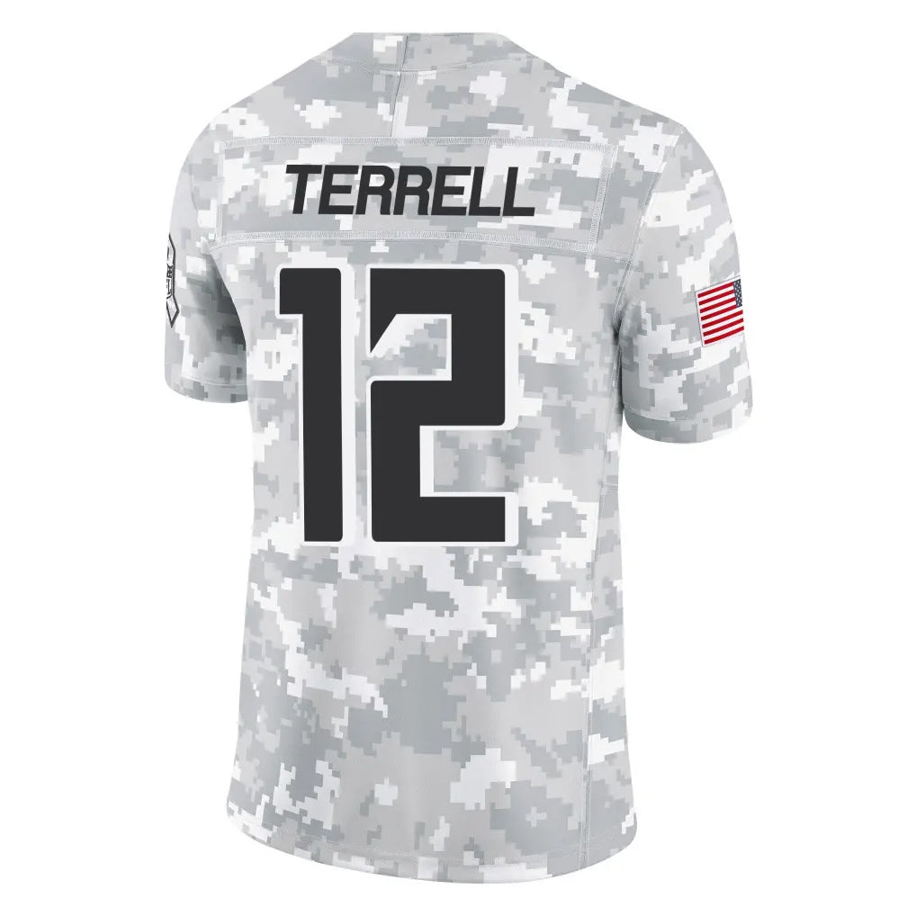 tocy A.Falcons #12 Avieon Terrell Player Arctic Camo Salute to Service Limited Stitched Jerseys
