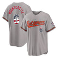 tocy B.Orioles #6 Ryan Mountcastle Player Gray USA 250 Fourth of July Home Game Stitched Jerseys