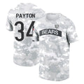tocy C.Bears #34 Walter Payton Player Arctic Camo Salute to Service Performance T-Shirt Limited Stitched Jerseys