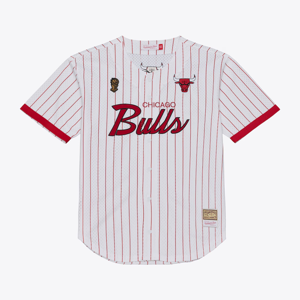 tocy C.Bulls Mitchell & Ness White Head Coach Pinstripe Mesh Full-Button Baseball Jerseys