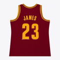 tocy C.Cavaliers #23 LeBron James Mitchell & Ness Wine 2015-16 Swingman Jerseys