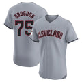 tocy C.Guardians #75 Connor Brogdon Player Gray Road Limited Elite Home Stitched Jerseys