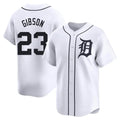 tocy D.Tigers #23 Kirk Gibson Player White Home Limited Stitched Jerseys