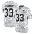 tocy GB.Packers #33 Evan Williams Player Arctic Camo Salute To Service Limited Stitched Jerseys
