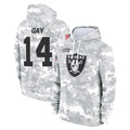 tocy LV.Raiders #14 Matt Gay Player Arctic Camo Salute to Service Hoodies Limited Game Stitched Jerseys