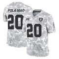 tocy LV.Raiders #20 Isaiah Pola-Mao Player Arctic Camo Salute To Service Limited Game Stitched Jerseys