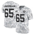 tocy LV.Raiders #65 Tyler Linderbaum Player Arctic Camo Salute To Service Limited Game Stitched Jerseys