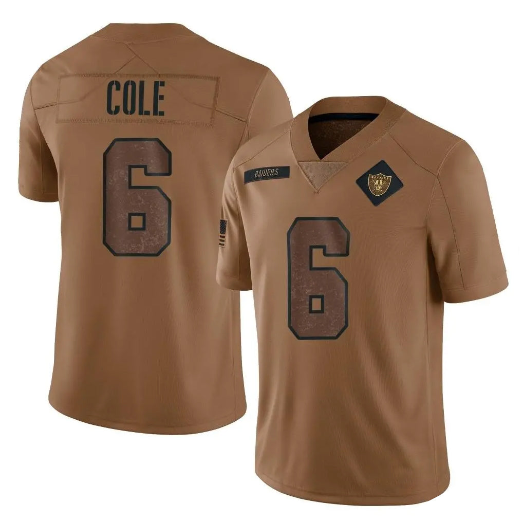tocy LV.Raiders #6 A.J. Cole Player Brown Salute To Service Limited Stitched Jerseys