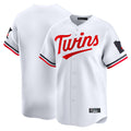 tocy Minnesota Twins Blank Player White Home Limited Stitched Jerseys