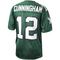 Tocy P.Eagles 1992 #12 Randall Cunningham Mitchell & Ness Green Authentic Throwback Retired Player Stitched Puhic Jersey