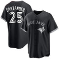tocy T.Blue Jays #25 Anthony Santander Player Black City Connect Limited Stitched Jerseys
