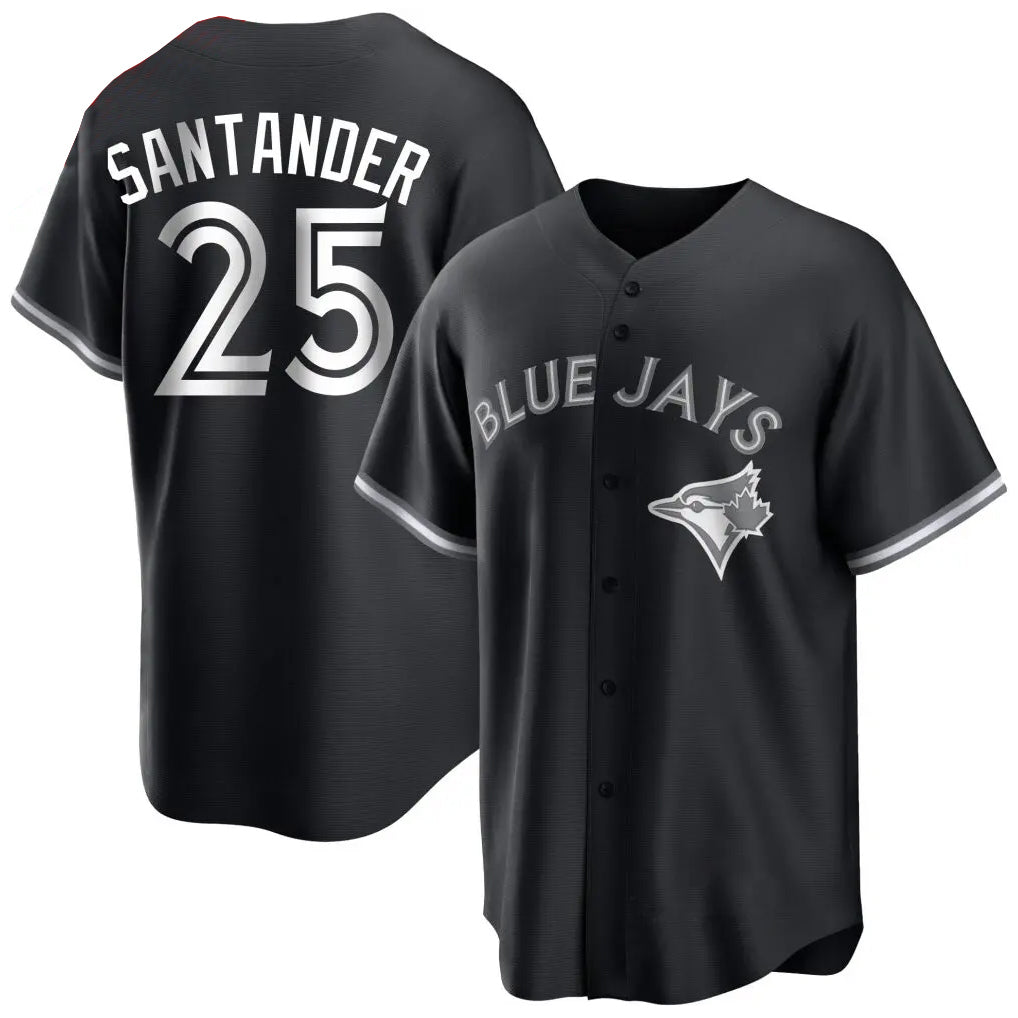 tocy T.Blue Jays #25 Anthony Santander Player Black City Connect Limited Stitched Jerseys