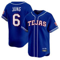 tocy T.Rangers #6 Josh Jung Player Royal 2026 City Connect Limited Stitched Jerseys